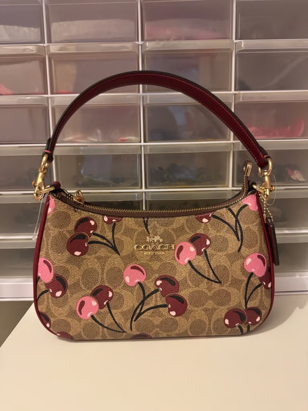 Coach Cherry Print Mini Shoulder Bag in Brown and Pink